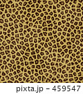 ヒョウ柄 壁紙のイラスト素材