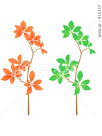 ドウダンツツジのイラスト素材