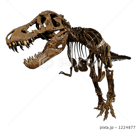 ラブリー化石 恐竜 イラスト 簡単 ただのディズニー画像