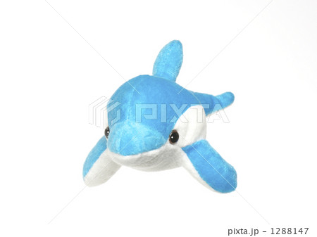 イルカのぬいぐるみの写真素材