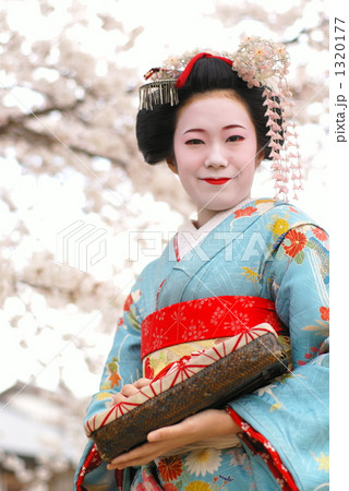 桜柄踊り衣装6枚組(舞妓) 桜柄踊り衣装6枚組(舞妓様専用) 【公式通販】