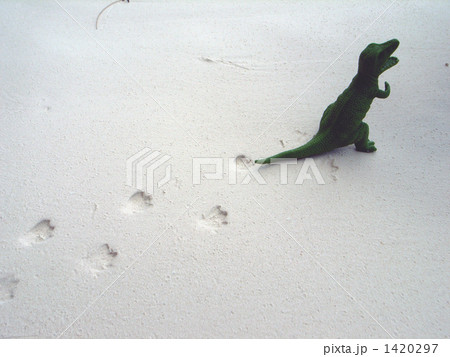 砂浜 足跡 恐竜 かわいいの写真素材