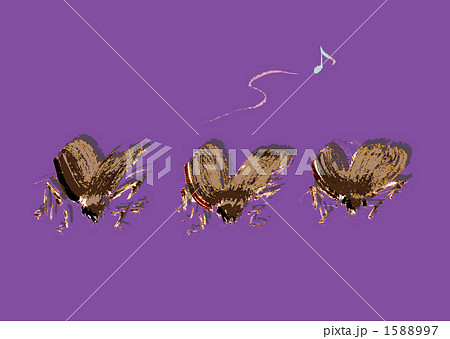 鈴虫の写真素材