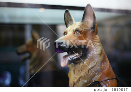 犬 置物 陶器 シェパードの写真素材