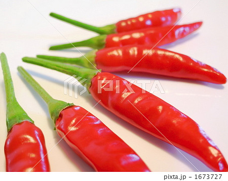 実 トウガラシ 鷹の爪 食べ物の写真素材