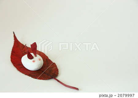 卯 卯年 粘土 うさぎの写真素材