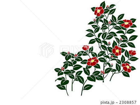 ディズニー画像のすべて ラブリー和風 和 柄 椿 イラスト