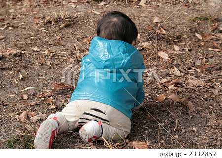 男の子 はいはい 後姿 赤ちゃんの写真素材