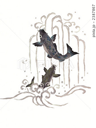魚 鯉 水墨画 墨絵のイラスト素材 - PIXTA