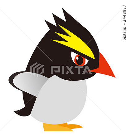 いわとびペンギン 鳥 イラスト ペンギンのイラスト素材