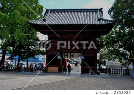 椿神社 寺社仏閣 お椿さん 伊豫豆比古命神社の写真素材