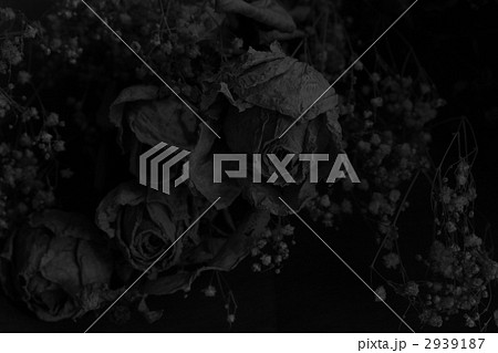 薔薇 ドライフラワー フラワーアレンジメント モノクロの写真素材 Pixta