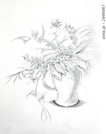 花 イラスト 鉛筆画 デッサンの写真素材