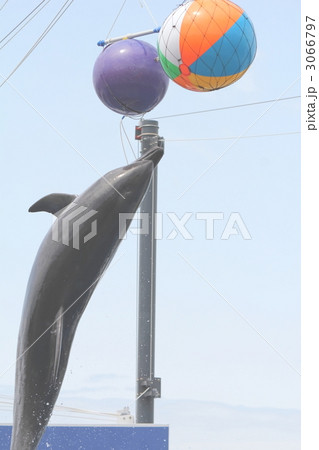 イルカ ショー ジャンプ ボールの写真素材