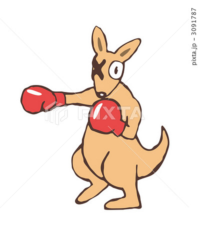 カンガルー ボクシング 陸上動物 ボクサーのイラスト素材