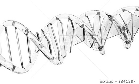 Dna 二重らせん Cg 立体構造のイラスト素材