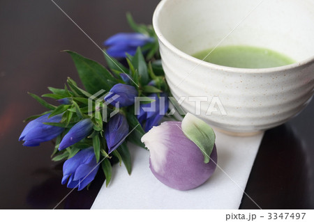 茶道 和菓子 リンドウ 花の写真素材