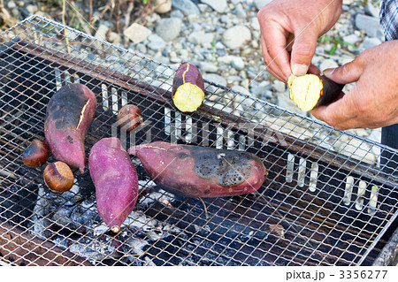 さつまいも サツマイモ いも バーベキューの写真素材