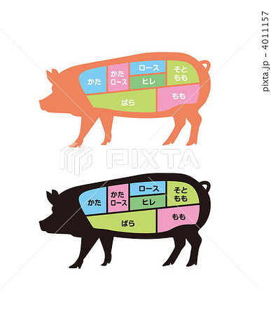 豚 豚肉 部位 肉のイラスト素材