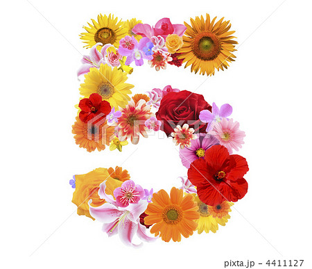 5 花 植物 数字の写真素材