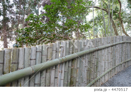 竹壁 壁 和風 仕切りの写真素材