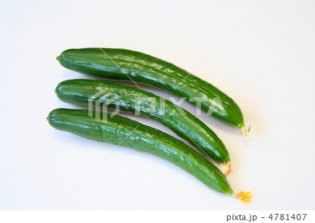 キュウリ 北進 野菜 夏野菜の写真素材