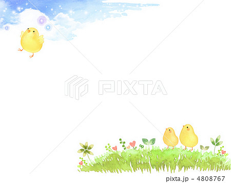 鳥 ひよこ 手作り 手書き 空のイラスト素材