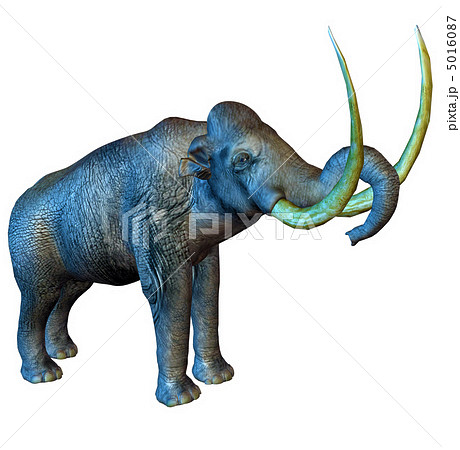 Mammoth Stock Illustration