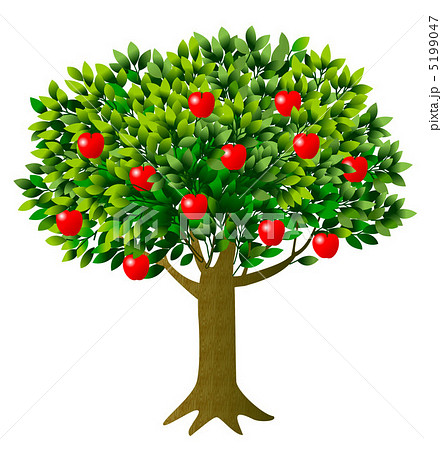果樹 木の実 果物 りんごのイラスト素材