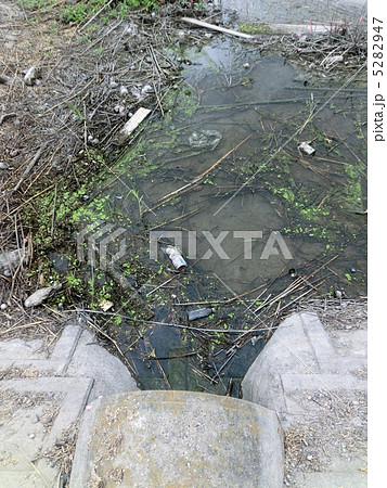 汚い川 ドブ川 水の写真素材