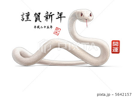 十二支 干支 リアル 白蛇のイラスト素材