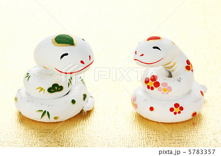 白蛇の脱け殻❤干支❤巳年❤超美品❣️しかも‼️妊婦さん❣️ 白蛇の脱け殻❤干支❤巳年❤超美品❣️しかも