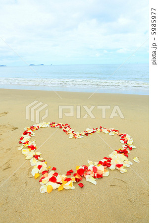 海 花びら ハート 砂浜 形の写真素材