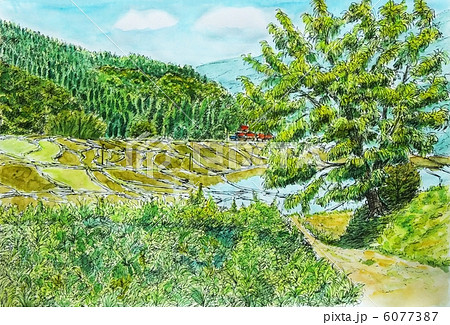 棚田 風景 水彩 水彩画の写真素材 - PIXTA