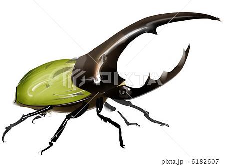 ヘラクレスオオカブト カブトムシ 甲虫 昆虫のイラスト素材