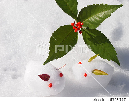 ゆきうさぎ 雪だるまの写真素材 - PIXTA