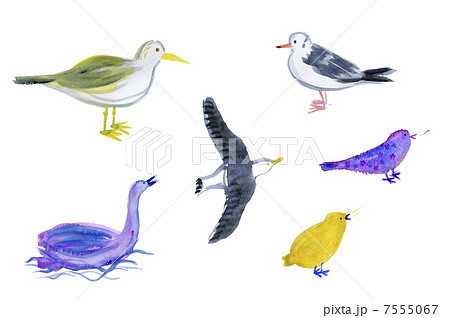 鳥のイラスト素材