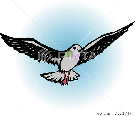 ハト 鳥 イラストレーション 切り絵のイラスト素材