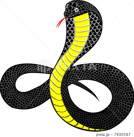 動物 ヘビ 蛇 コブラのイラスト素材