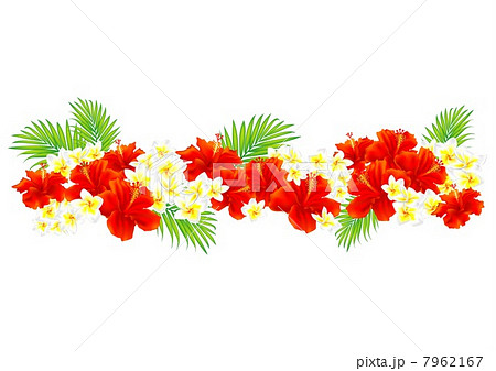 フラダンス 海 トロピカル ハワイ 花 装飾 常夏のイラスト素材