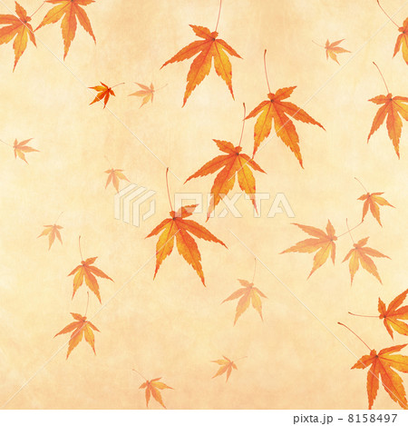 紅葉 美しい 和風 ９月のイラスト素材