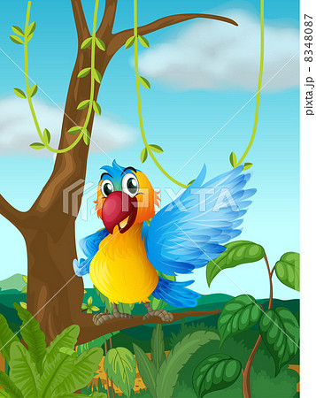 赤コンゴウインコのイラスト素材 - PIXTA