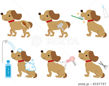 犬 トリミング 愛玩動物 ハサミのイラスト素材