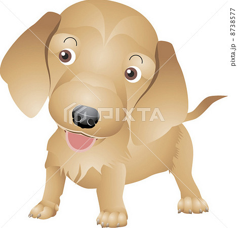 立つ 犬 垂れ耳 1匹のイラスト素材