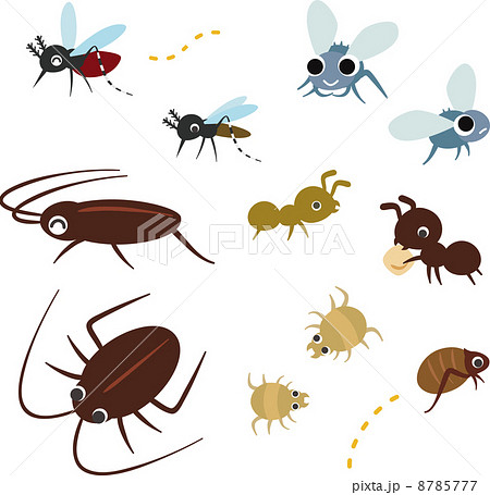 ゴキブリ かわいい イラスト デフォルメのイラスト素材