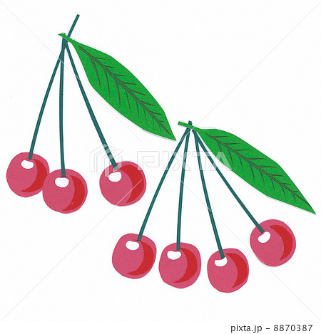 さくらんぼ くだもの 食品 切り絵のイラスト素材