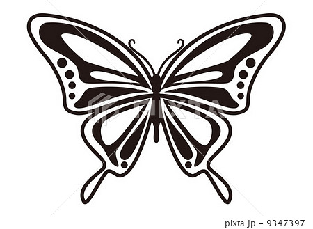 いろいろ おしゃれ 蝶 イラスト 白黒 ただの動物の画像