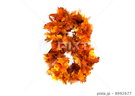 紅葉文字 秋 文字 紅葉 数字のイラスト素材 - PIXTA