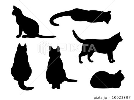 動物 猫 横 正面のイラスト素材