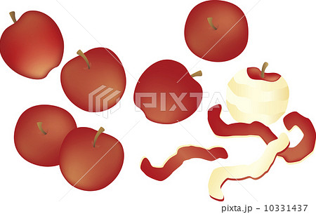 リンゴ りんご 皮むき 果物のイラスト素材